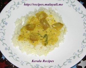 Chayote Squash Curry