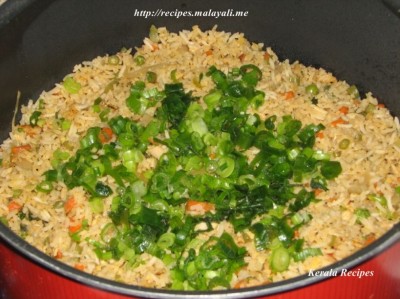 Chicken Fried Rice garnished with spring onions