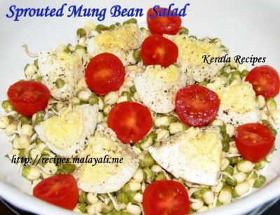 Sprouted Mung Bean Salad