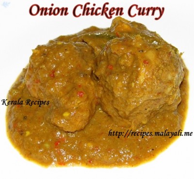 Onion Chicken Curry