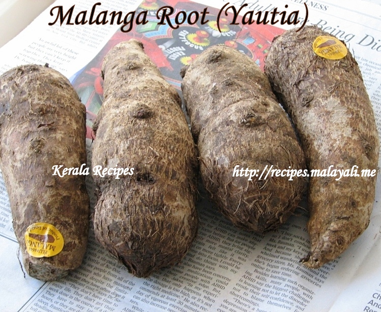Malanga Root or Yautia