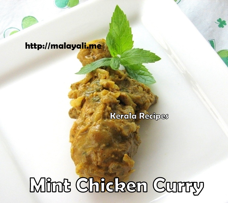 Chicken Curry with Mint
