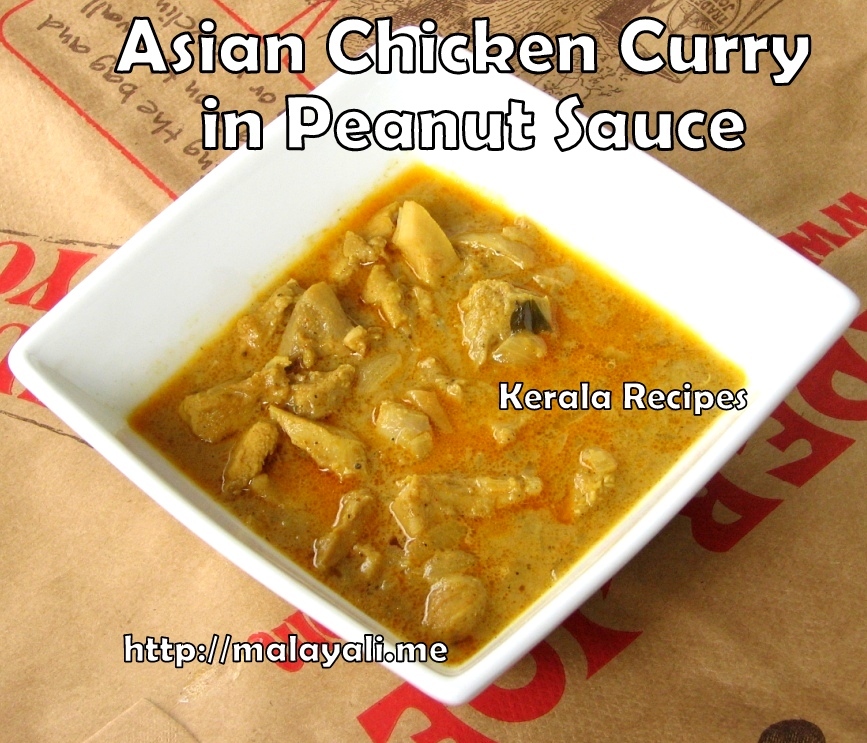 Asian Chicken Curry in Peanut Sauce
