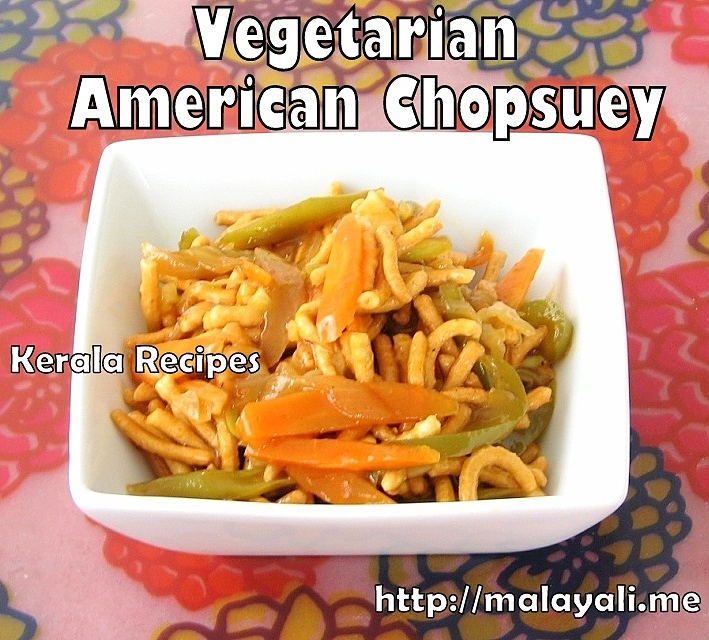Vegetarian American Chopsuey