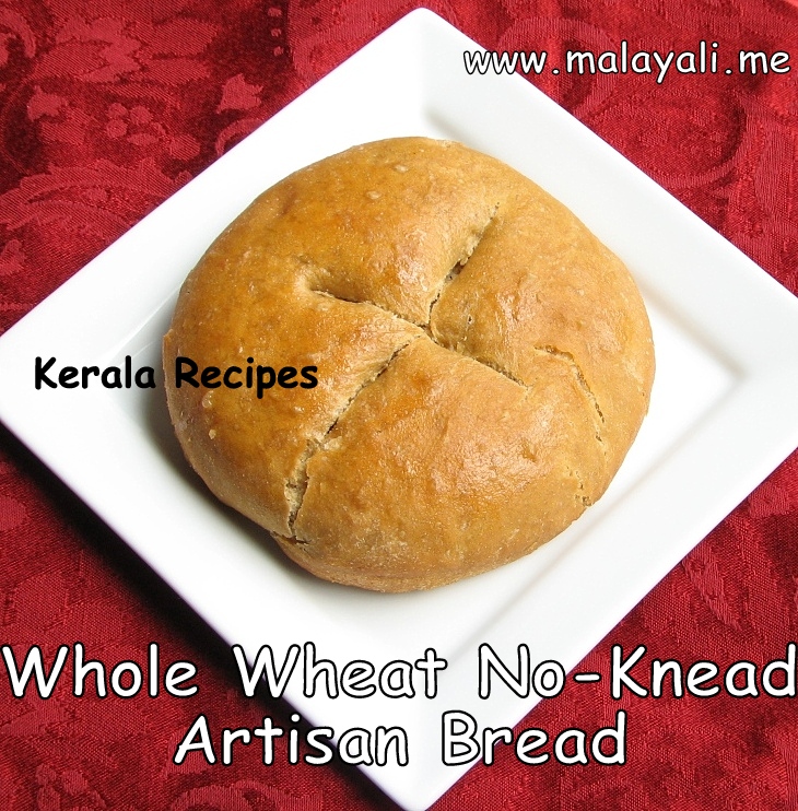 Whole Wheat Artisan Bread