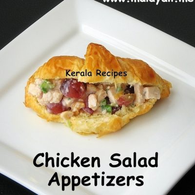 Homemade Chicken Salad Appetizer